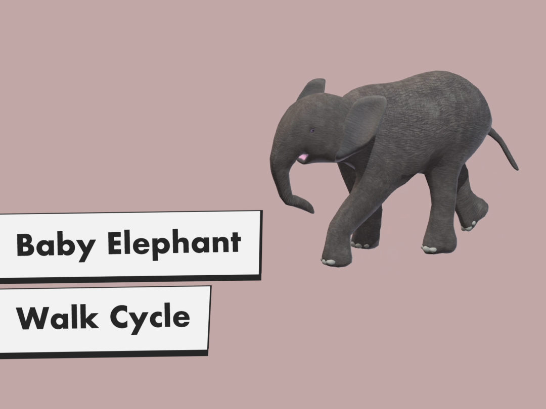 Baby Elephant