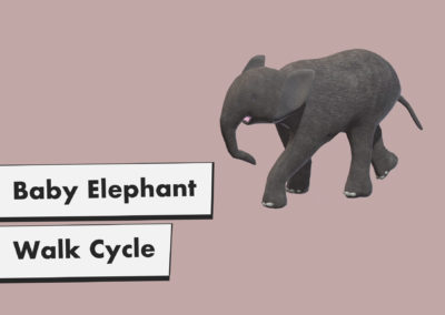 Baby Elephant