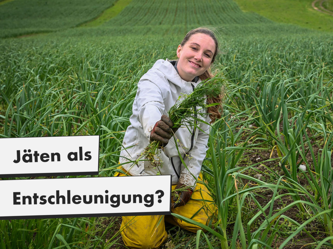 Jäten als Entschleunigung?