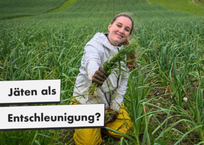 Jäten als Entschleunigung?